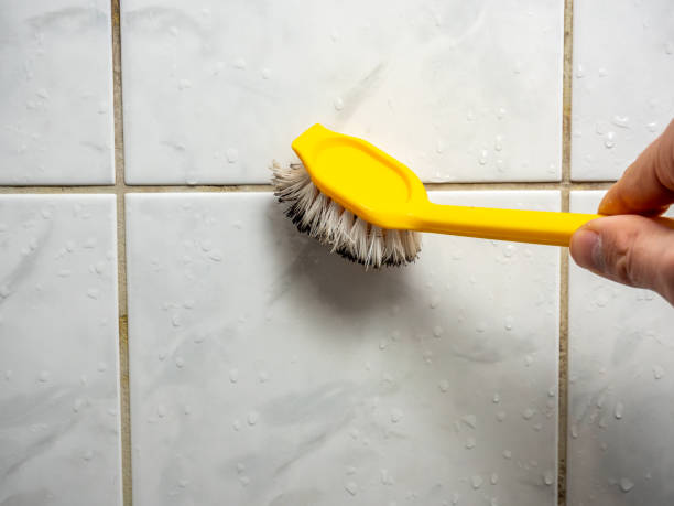 Best Affordable Mold Removal  in Litchfield Park, AZ