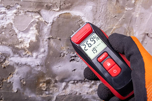 Best Crawl Space Mold Removal  in Litchfield Park, AZ